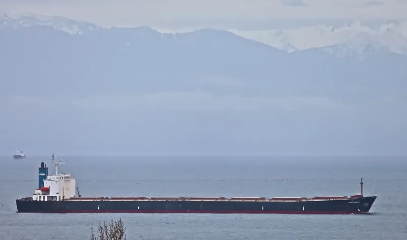 GREAT AMBITION Bulk Carrier IMO 9187746 photo 10