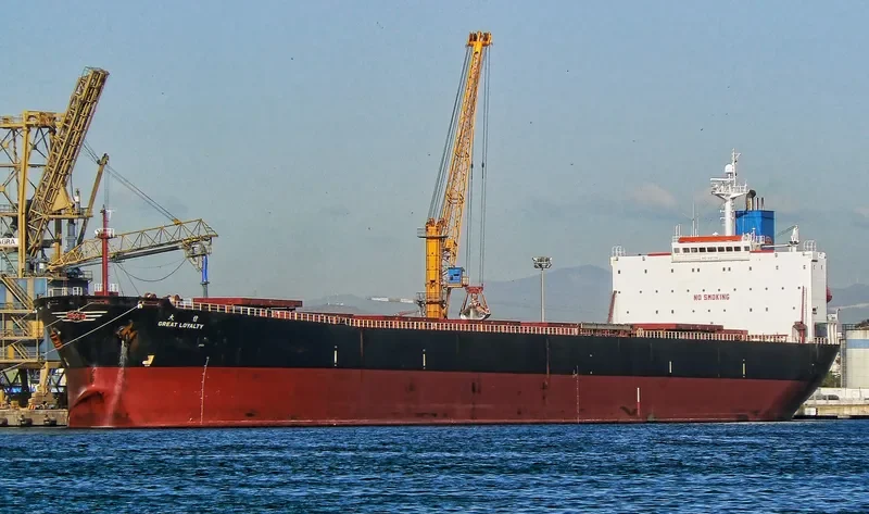 GREAT LOYALTY Bulk Carrier IMO 9187758 photo 2