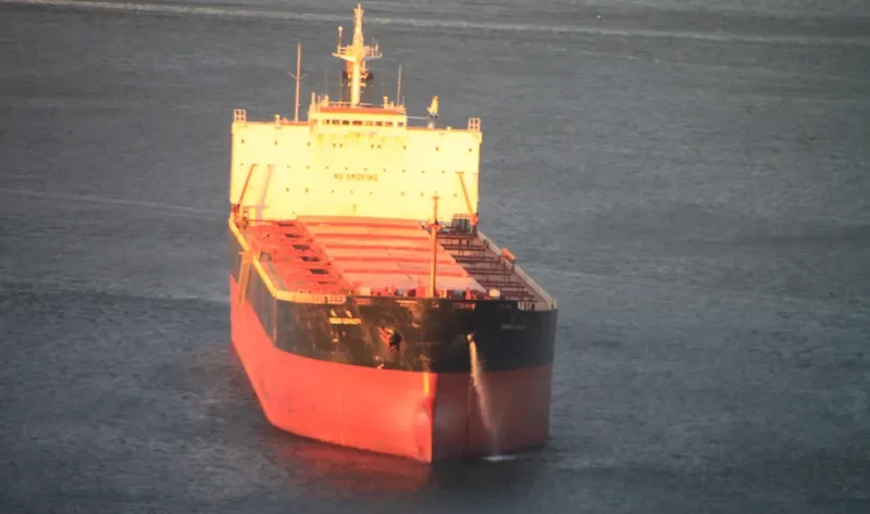 GREAT LOYALTY Bulk Carrier IMO 9187758 photo 4