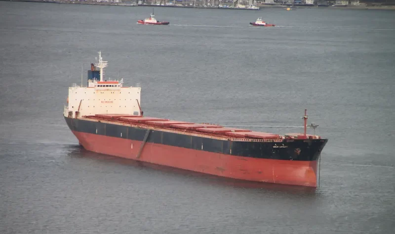 GREAT LOYALTY Bulk Carrier IMO 9187758 photo 5