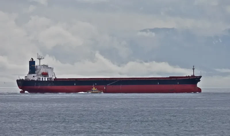 GREAT LOYALTY Bulk Carrier IMO 9187758 photo 6