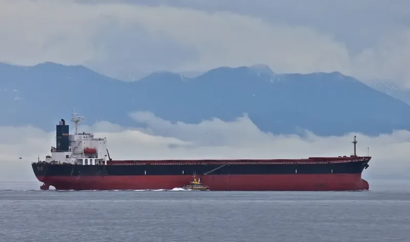 GREAT LOYALTY Bulk Carrier IMO 9187758 photo 9