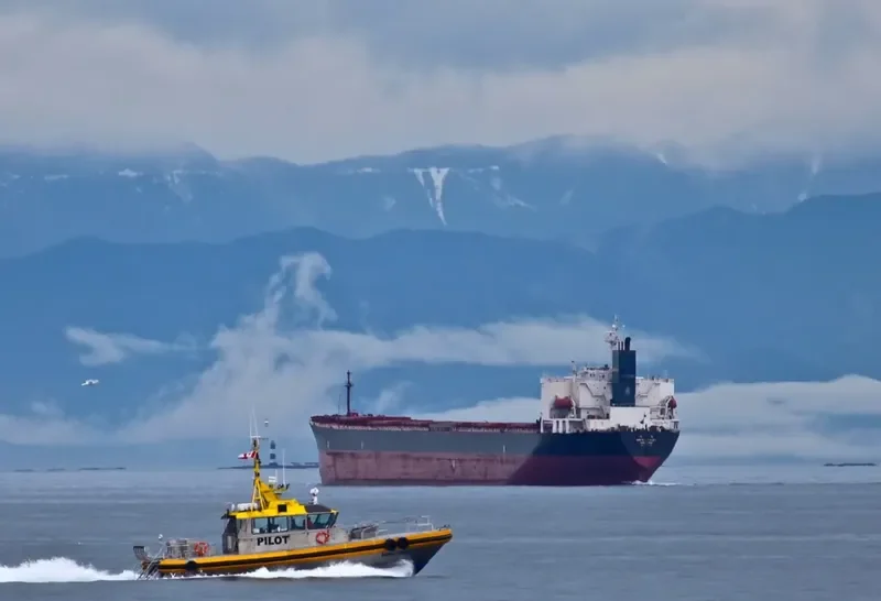 GREAT LOYALTY Bulk Carrier IMO 9187758 photo 10