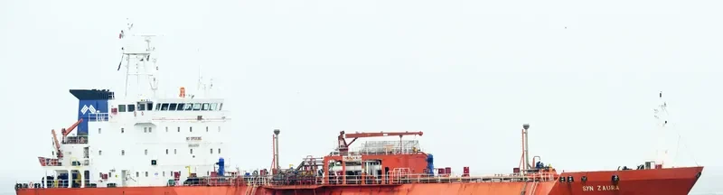 SYN ZAURA General Cargo IMO 9187837 photo 10