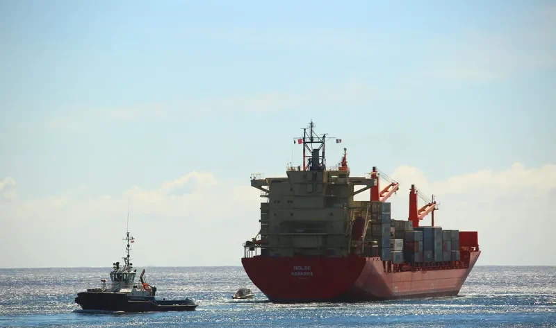 PAMBA 1 Container Ship IMO 9187875 photo 2