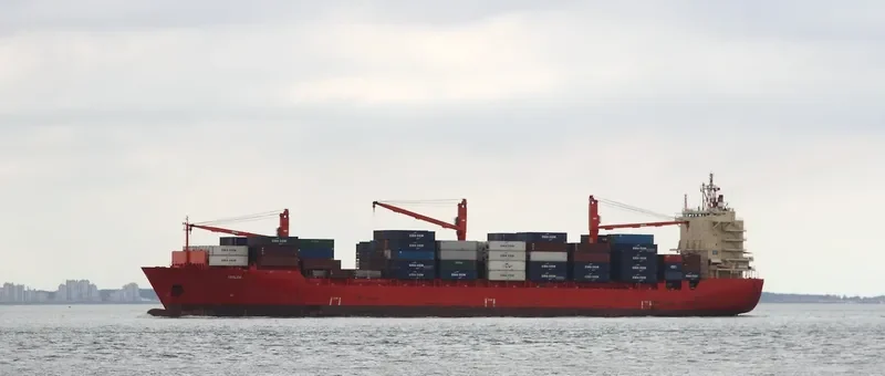 PAMBA 1 Container Ship IMO 9187875 photo 9