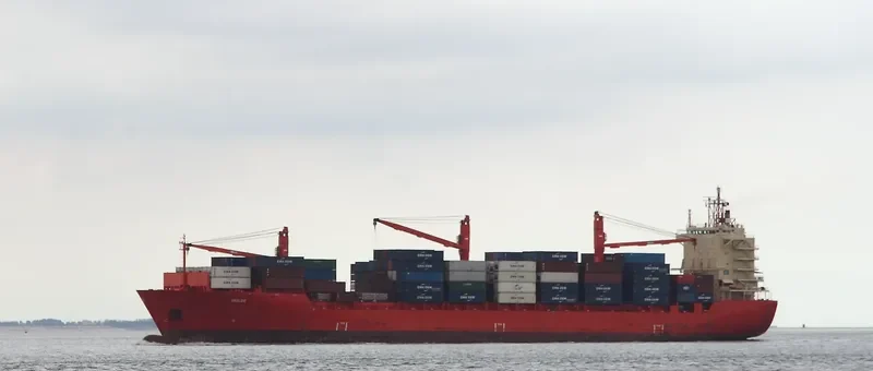 PAMBA 1 Container Ship IMO 9187875 photo 10