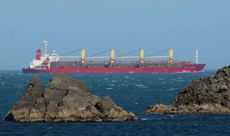 GOLDEN ATLANTIC Bulk Carrier IMO 9187954 photo 7