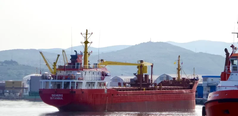 MARY General Cargo IMO 9187978 photo 3