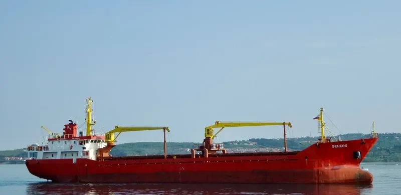 MARY General Cargo IMO 9187978 photo 4