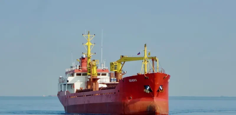 MARY General Cargo IMO 9187978 photo 6