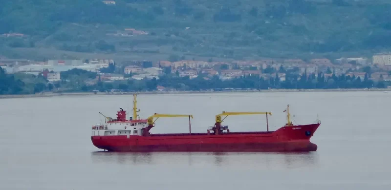 MARY General Cargo IMO 9187978 photo 7
