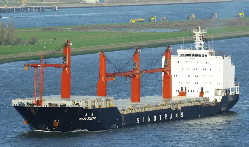 GREAT BLOSSOM Bulk Carrier IMO 9188013