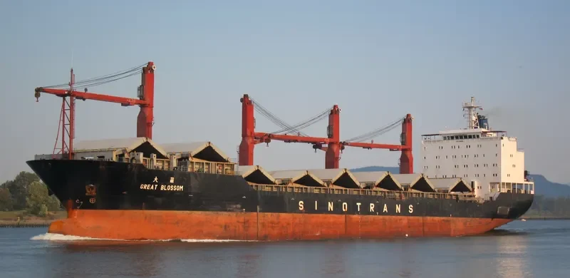GREAT BLOSSOM Bulk Carrier IMO 9188013 photo 2