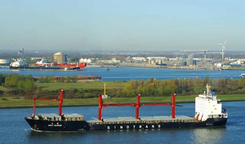 GREAT BLOSSOM Bulk Carrier IMO 9188013 photo 4