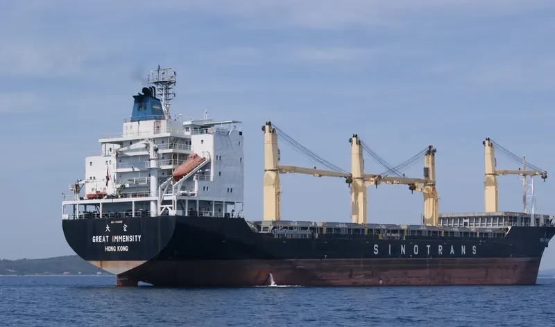 GREAT IMMENSITY Container Ship IMO 9188025 photo 7