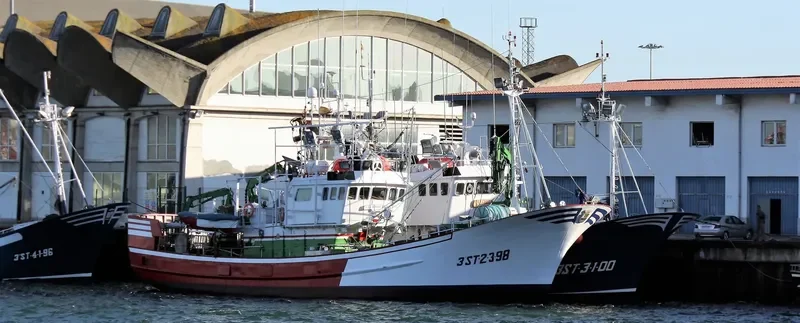 SAN ROQUE DIVINO General Cargo IMO 9188063 photo 3