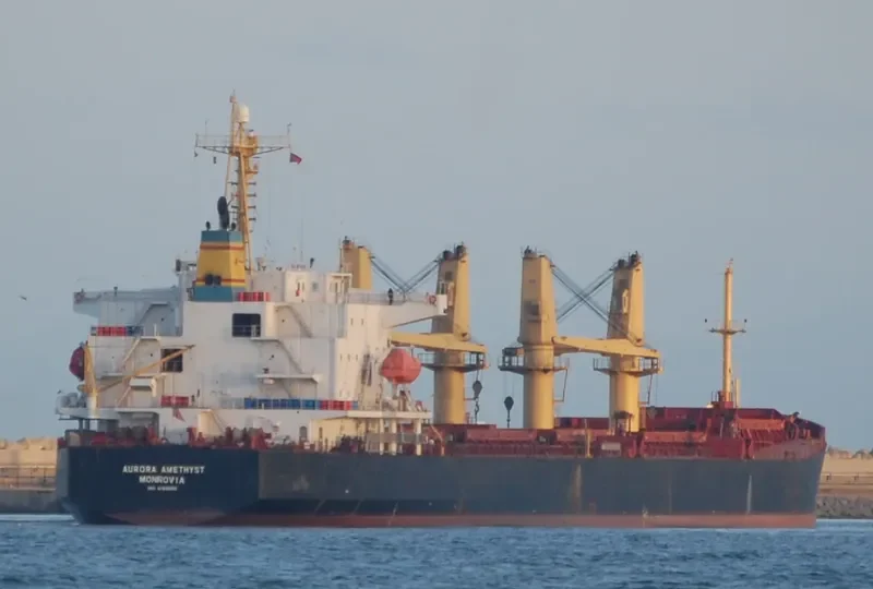 LAI ZHOU 66 Bulk Carrier IMO 9188609 photo 2