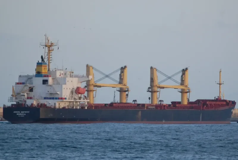 LAI ZHOU 66 Bulk Carrier IMO 9188609 photo 3