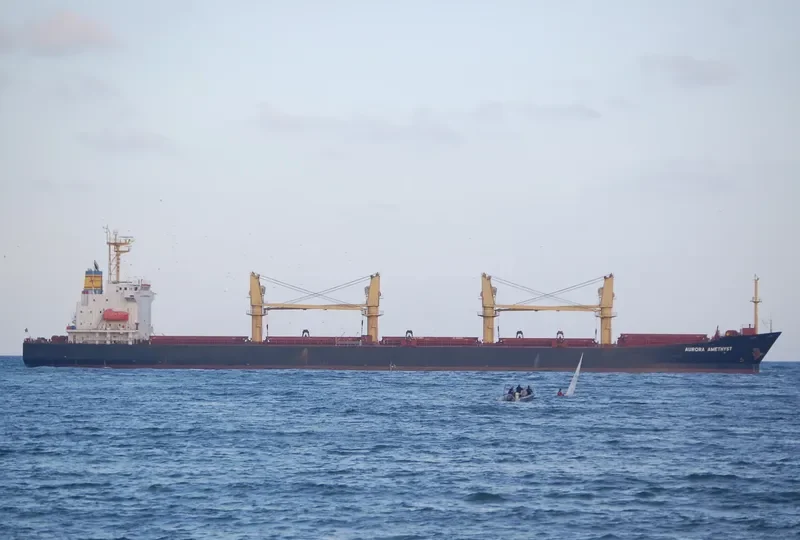 LAI ZHOU 66 Bulk Carrier IMO 9188609 photo 4