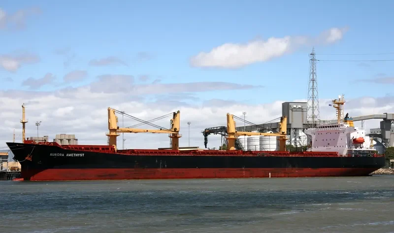 LAI ZHOU 66 Bulk Carrier IMO 9188609 photo 5