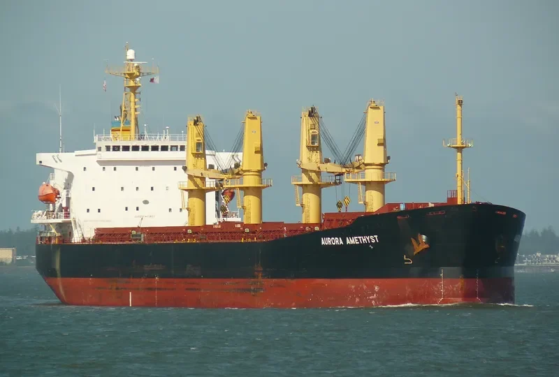 LAI ZHOU 66 Bulk Carrier IMO 9188609 photo 6