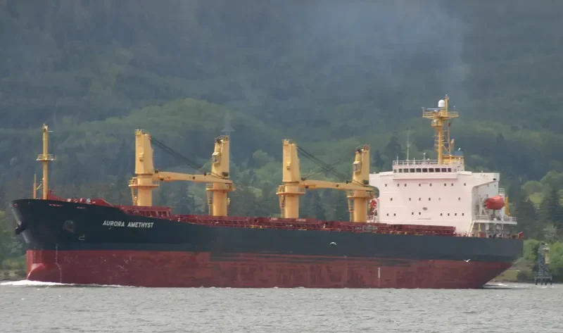 LAI ZHOU 66 Bulk Carrier IMO 9188609 photo 8