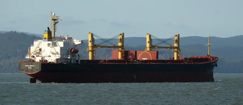 LAI ZHOU 66 Bulk Carrier IMO 9188609 photo 9