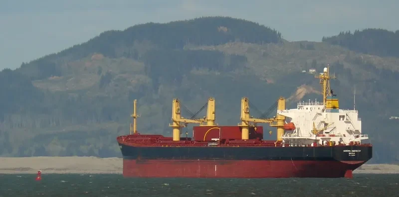 LAI ZHOU 66 Bulk Carrier IMO 9188609 photo 10