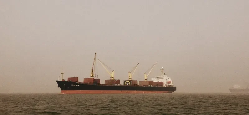 BRAVE ROYAL Bulk Carrier IMO 9188611