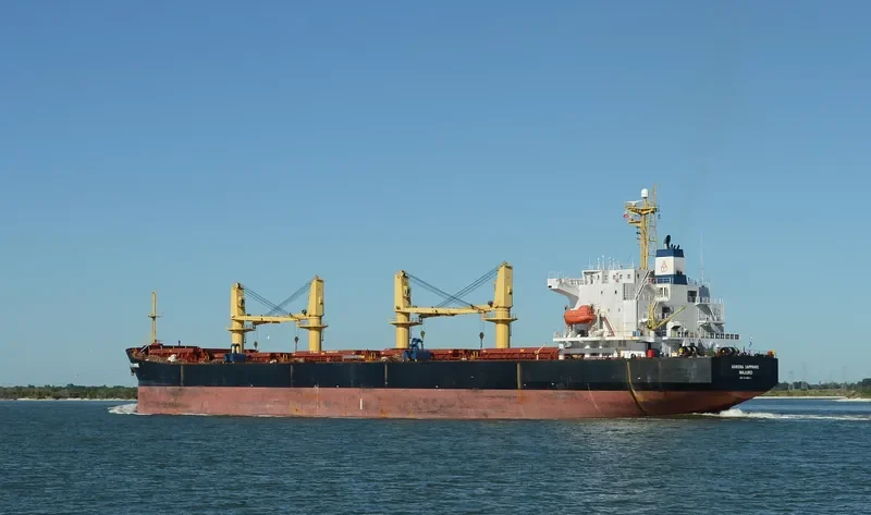 BRAVE ROYAL Bulk Carrier IMO 9188611 photo 2