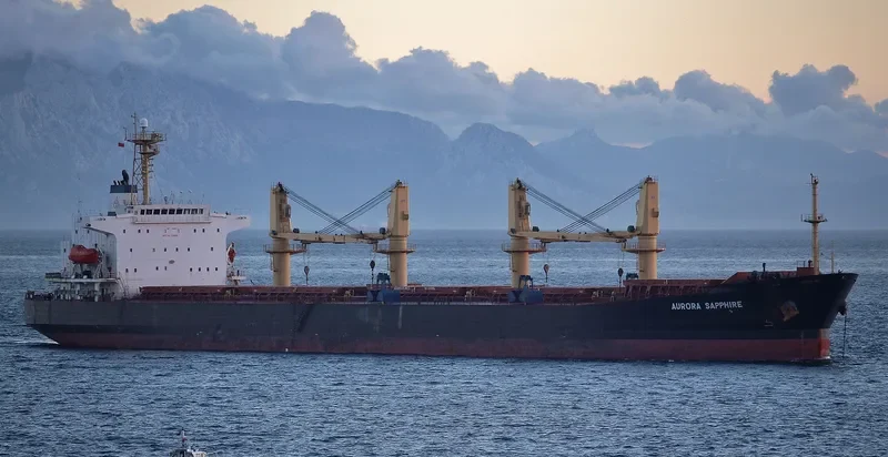 BRAVE ROYAL Bulk Carrier IMO 9188611 photo 3