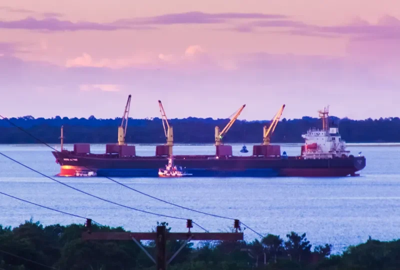 BRAVE ROYAL Bulk Carrier IMO 9188611 photo 4