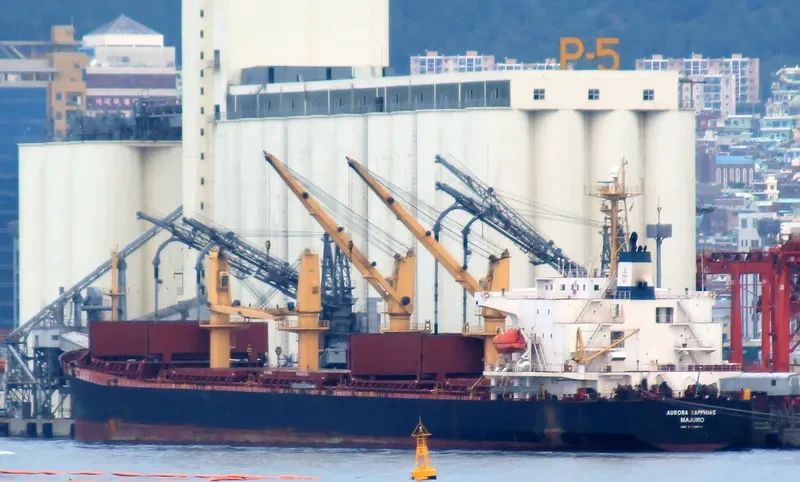 BRAVE ROYAL Bulk Carrier IMO 9188611 photo 5