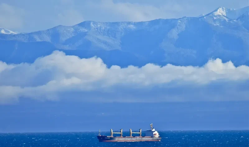BRAVE ROYAL Bulk Carrier IMO 9188611 photo 6