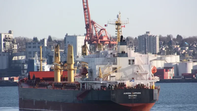 BRAVE ROYAL Bulk Carrier IMO 9188611 photo 10