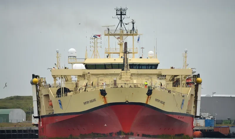 RAMFORM VANGUARD General Cargo IMO 9188714 photo 5