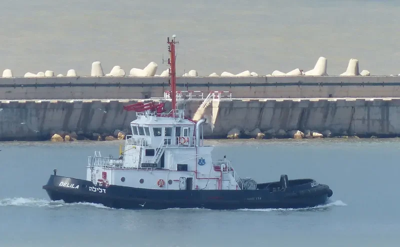 DELILA General Cargo IMO 9188738 photo 6