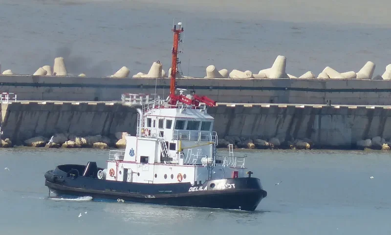 DELILA General Cargo IMO 9188738 photo 8