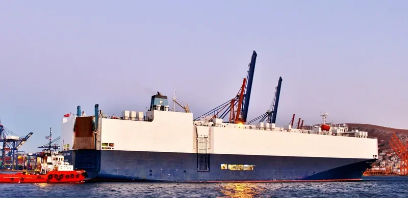 DA FENG GANG LI MING HAO General Cargo IMO 9188790
