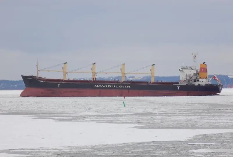 MURGASH Bulk Carrier IMO 9188908 photo 2