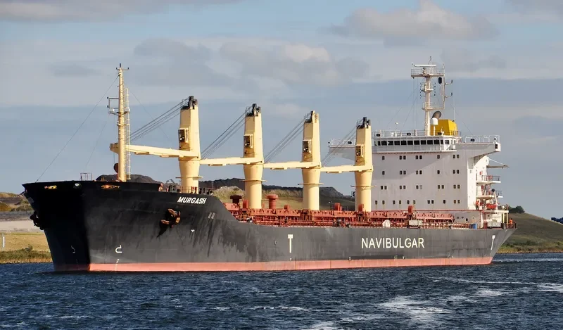 MURGASH Bulk Carrier IMO 9188908 photo 7