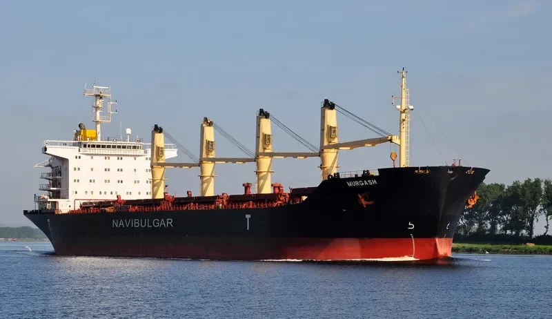 MURGASH Bulk Carrier IMO 9188908 photo 9