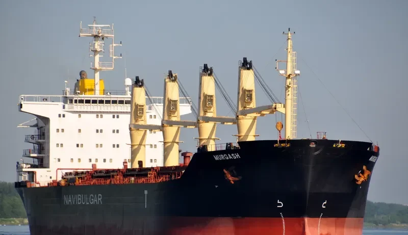 MURGASH Bulk Carrier IMO 9188908 photo 10