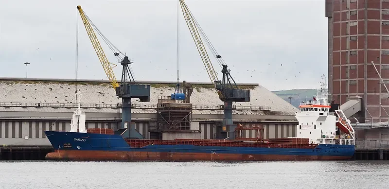LADY DARYA General Cargo IMO 9188946 photo 2