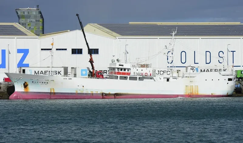 SUMIYOSHI MARU NO.81 General Cargo IMO 9189079 photo 3