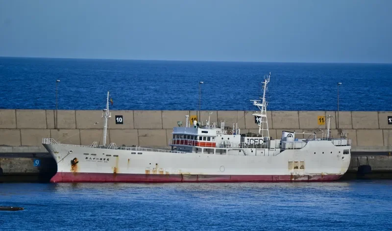 SUMIYOSHI MARU NO.81 General Cargo IMO 9189079 photo 5