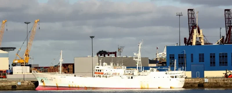 SUMIYOSHI MARU NO.81 General Cargo IMO 9189079 photo 6