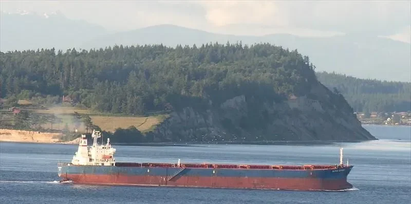 TIANHAO 18 Bulk Carrier IMO 9189081 photo 4