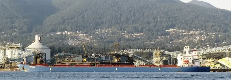 JIN NING 7 Bulk Carrier IMO 9189093